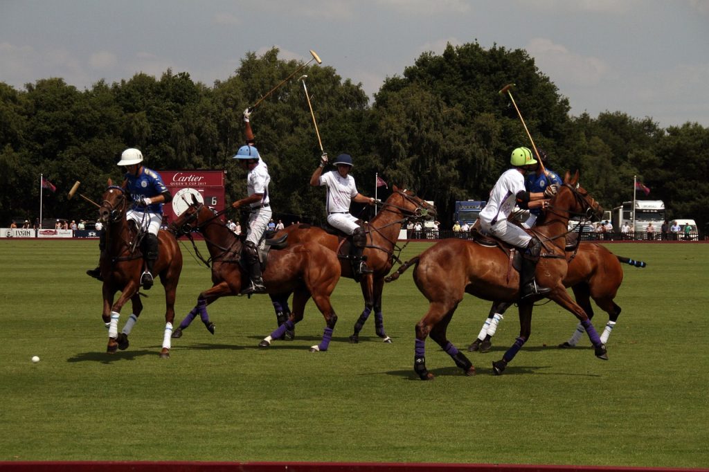 polo-2447675_1280